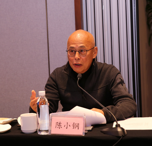 A2 專(zhuān)家組組長(zhǎng)陳小鋼講話.jpg